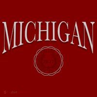 Vintage Michigan Varsity Style T-Shirt thumb 7