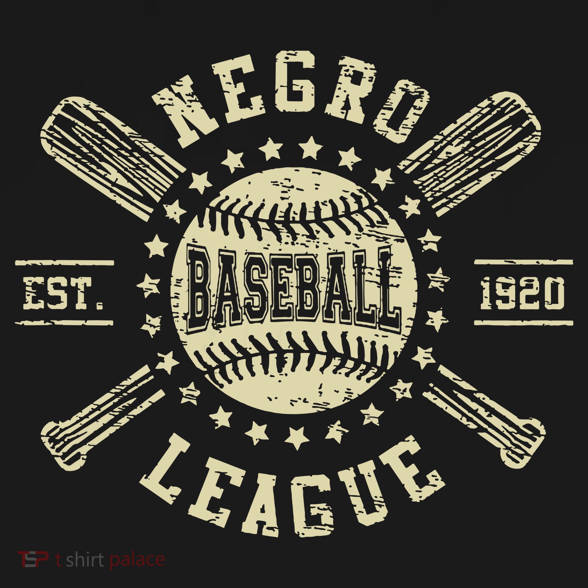 Vintage Negro League Baseball Black History Month T-Shirt