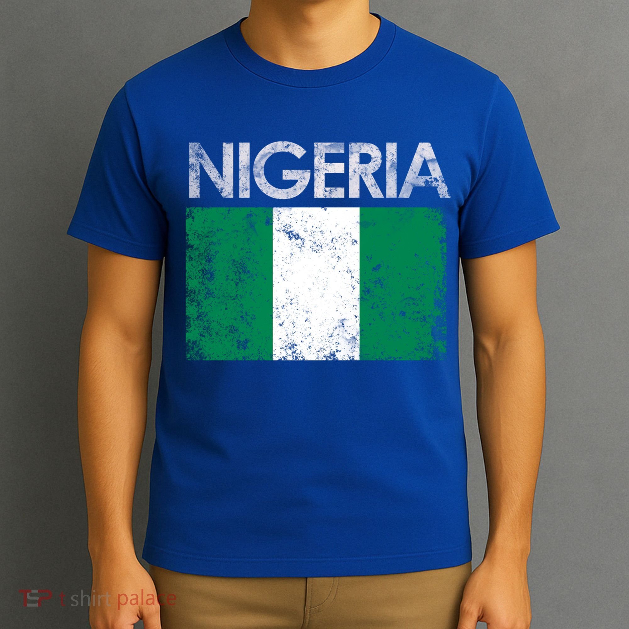 Vintage Nigeria Nigerian Flag Pride Gift T-Shirt
