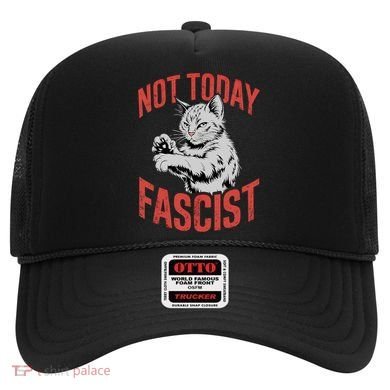 Vintage Not Today Fascist Funny Cat Meme  Hat
