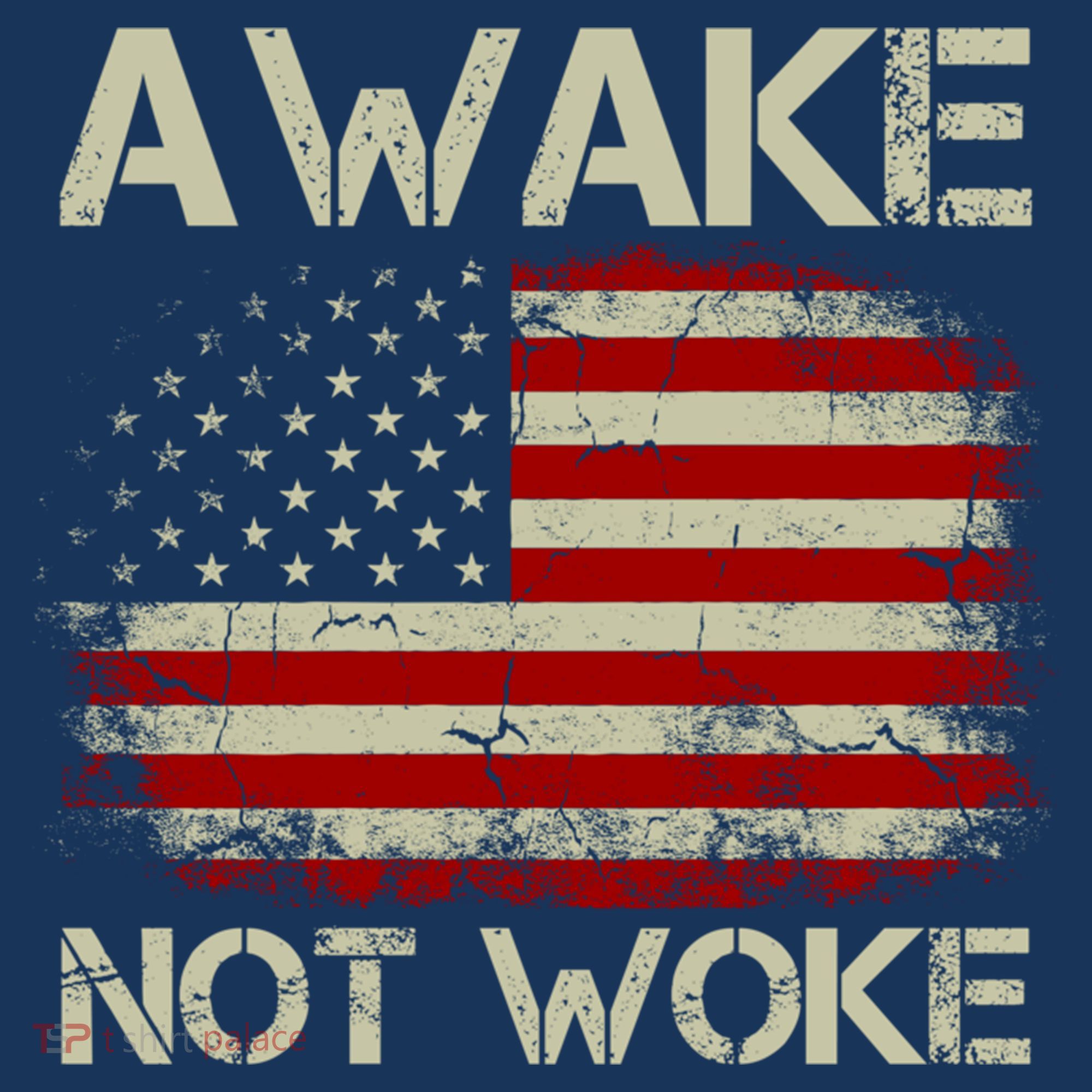 Vintage Old American Flag Awake Not Woke T-Shirt