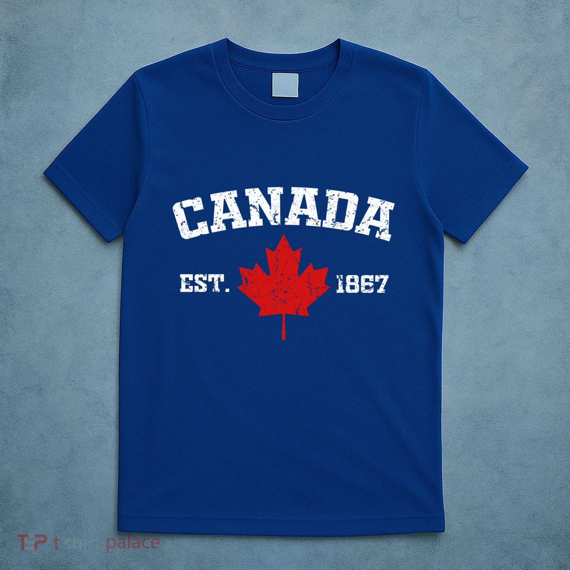 Vintage Ottawa Canada Est 1867 Souvenir Gift Cool Gift T-Shirt