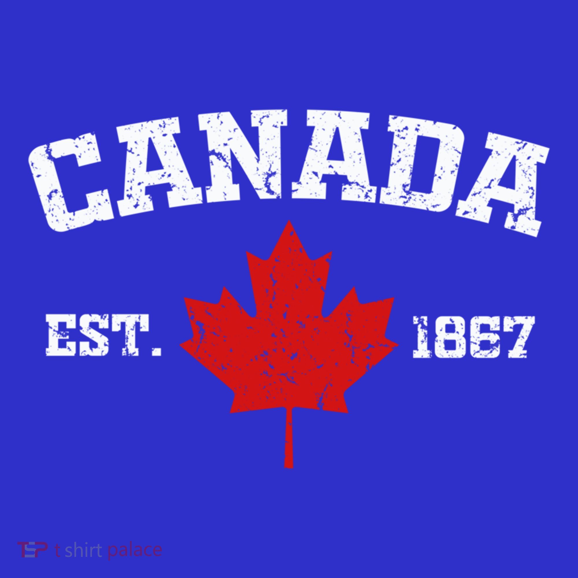 Vintage Ottawa Canada Est 1867 Souvenir Gift Cool Gift T-Shirt