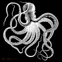 Vintage Octopus Illustration T-Shirt thumb 7