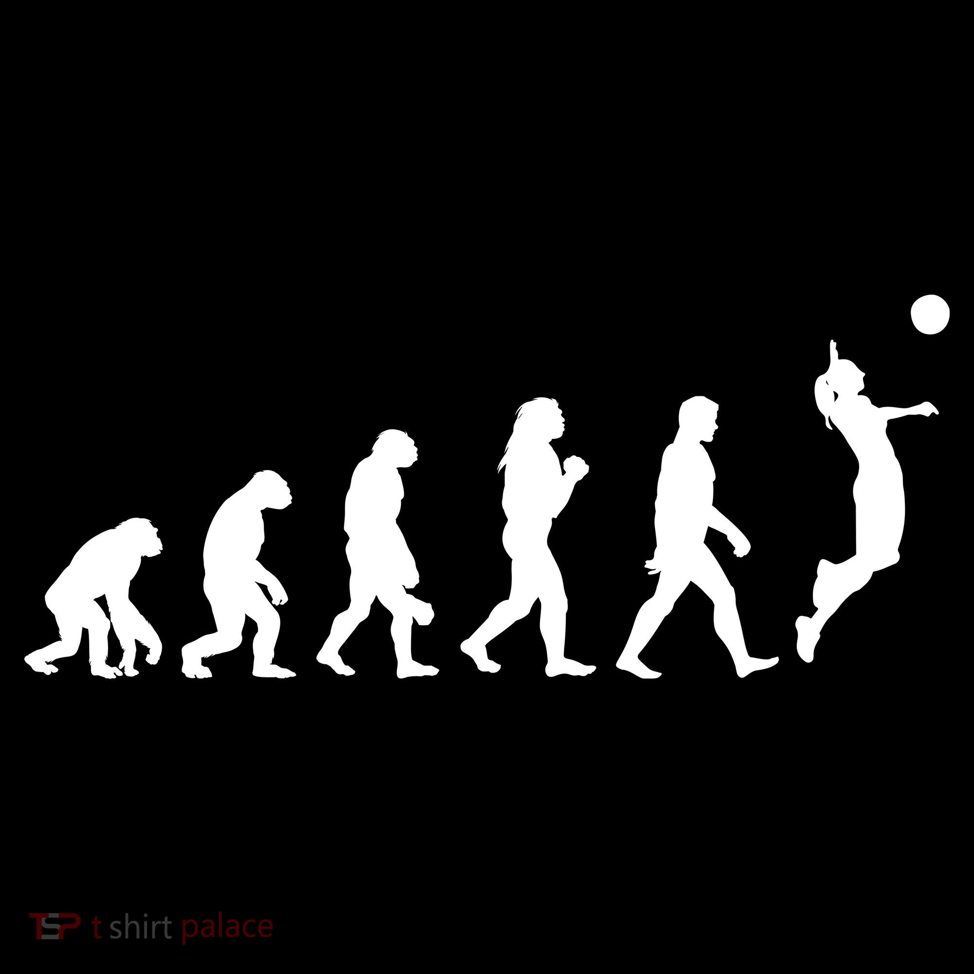 Volleyball Evolution Coaster