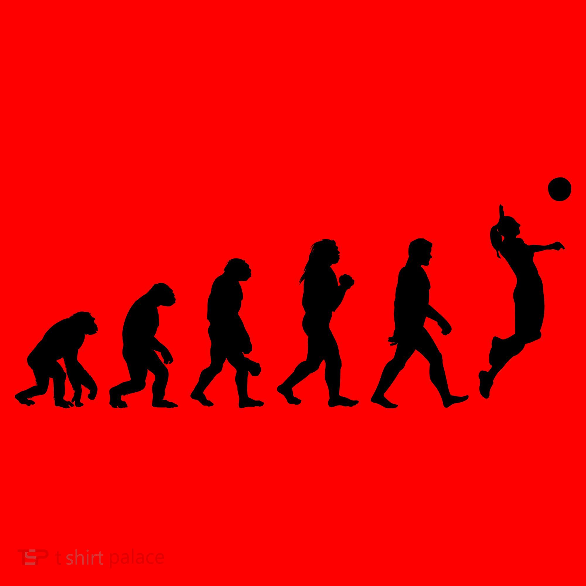 Volleyball Evolution Santa Hat