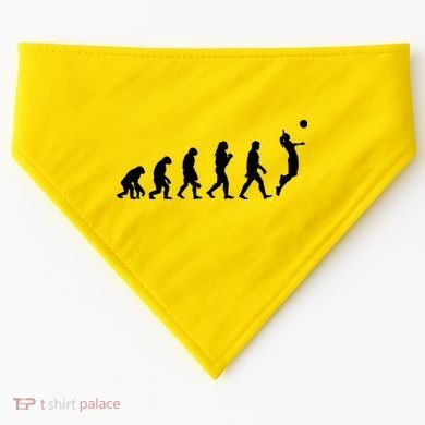 Volleyball Evolution USA-Made Doggie Bandana