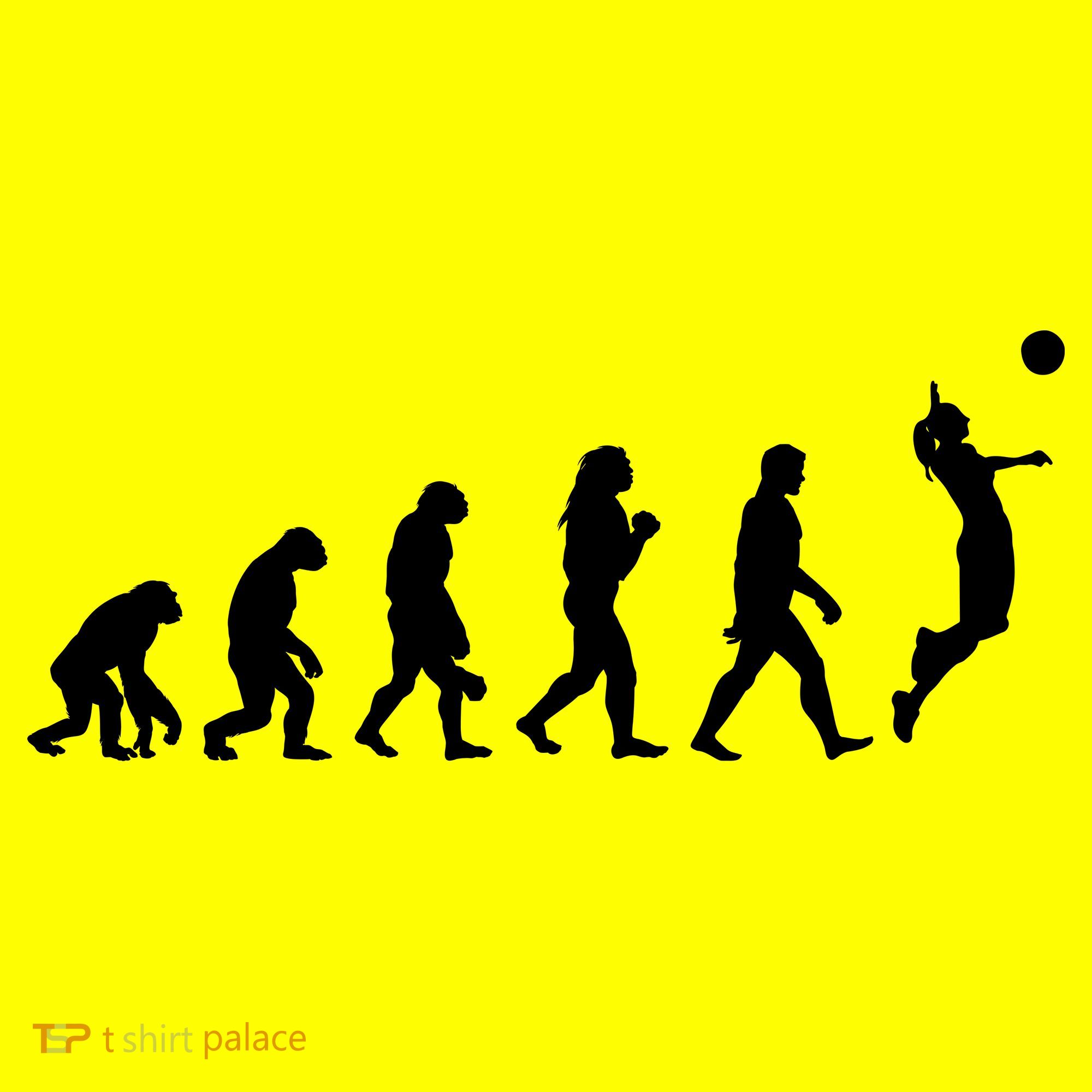 Volleyball Evolution Polo
