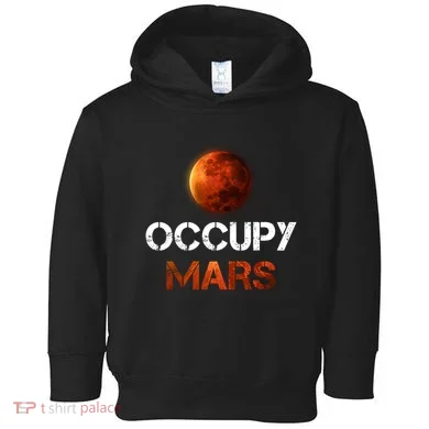 Toddler Hoodie