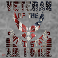 Veteran Of The United States Air Force Women's Hoodie thumb 2
