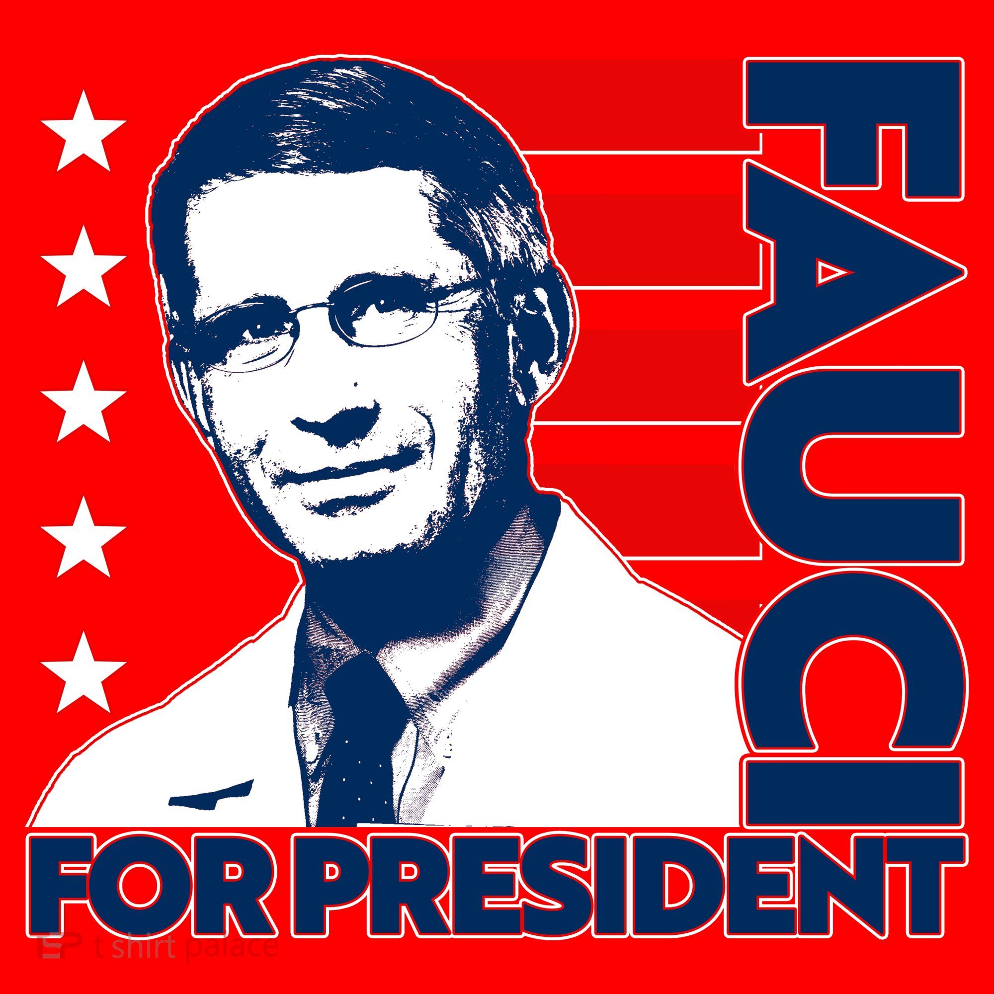 Vote Dr Fauci For President Santa Hat