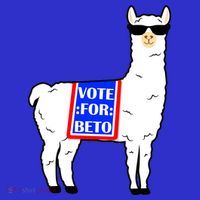 Vote For Beto Llama Kids T-Shirt thumb 4