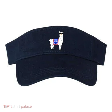 Visor