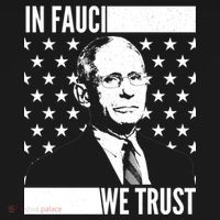 Vote In Fauci We Trust Ornament thumb 1