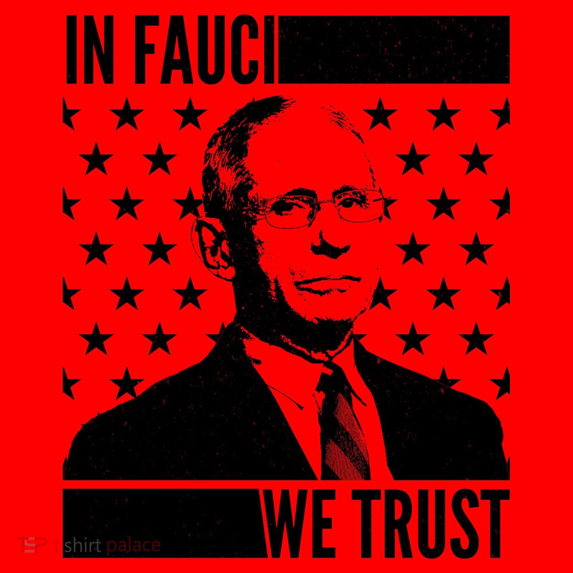 Vote In Fauci We Trust Santa Hat