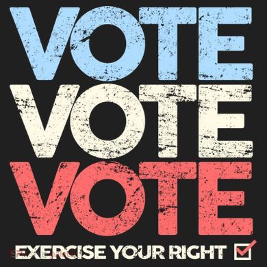 Vote Vote Vote Exercise Your right Beanie