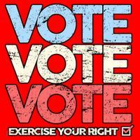 Vote Vote Vote Exercise Your right Santa Hat thumb 1
