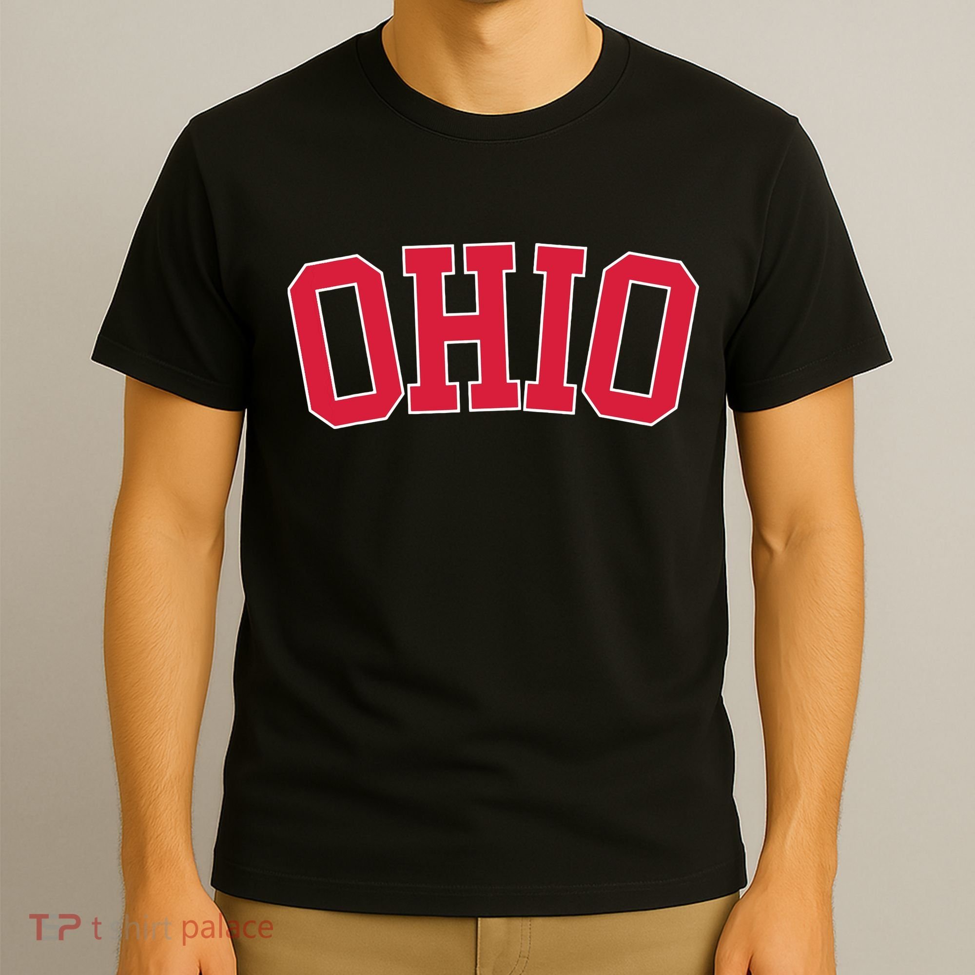 Vintage Ohio Usa State Oh Varsity Style Sports T-Shirt