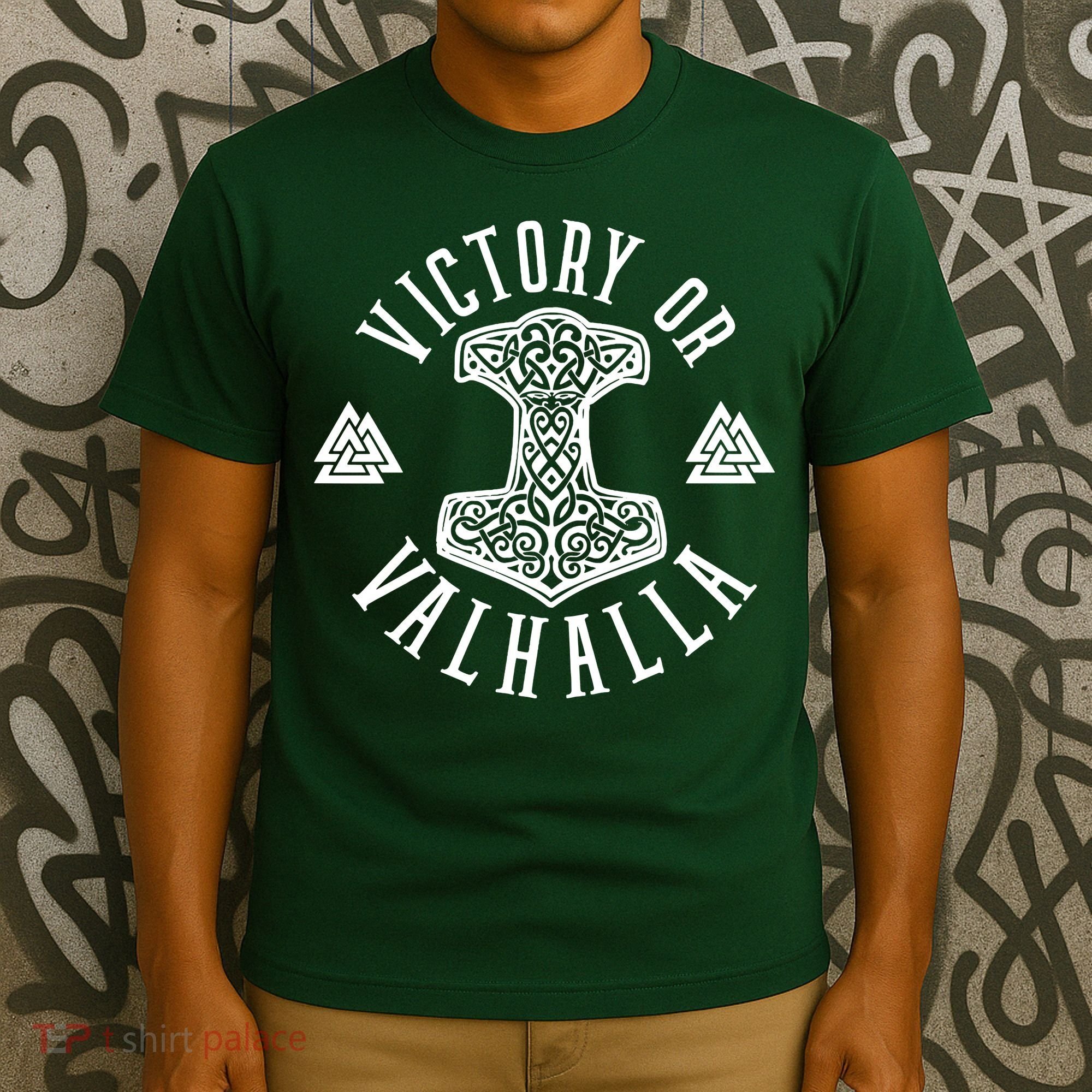 Victory Or Valhalla 1776 T-Shirt
