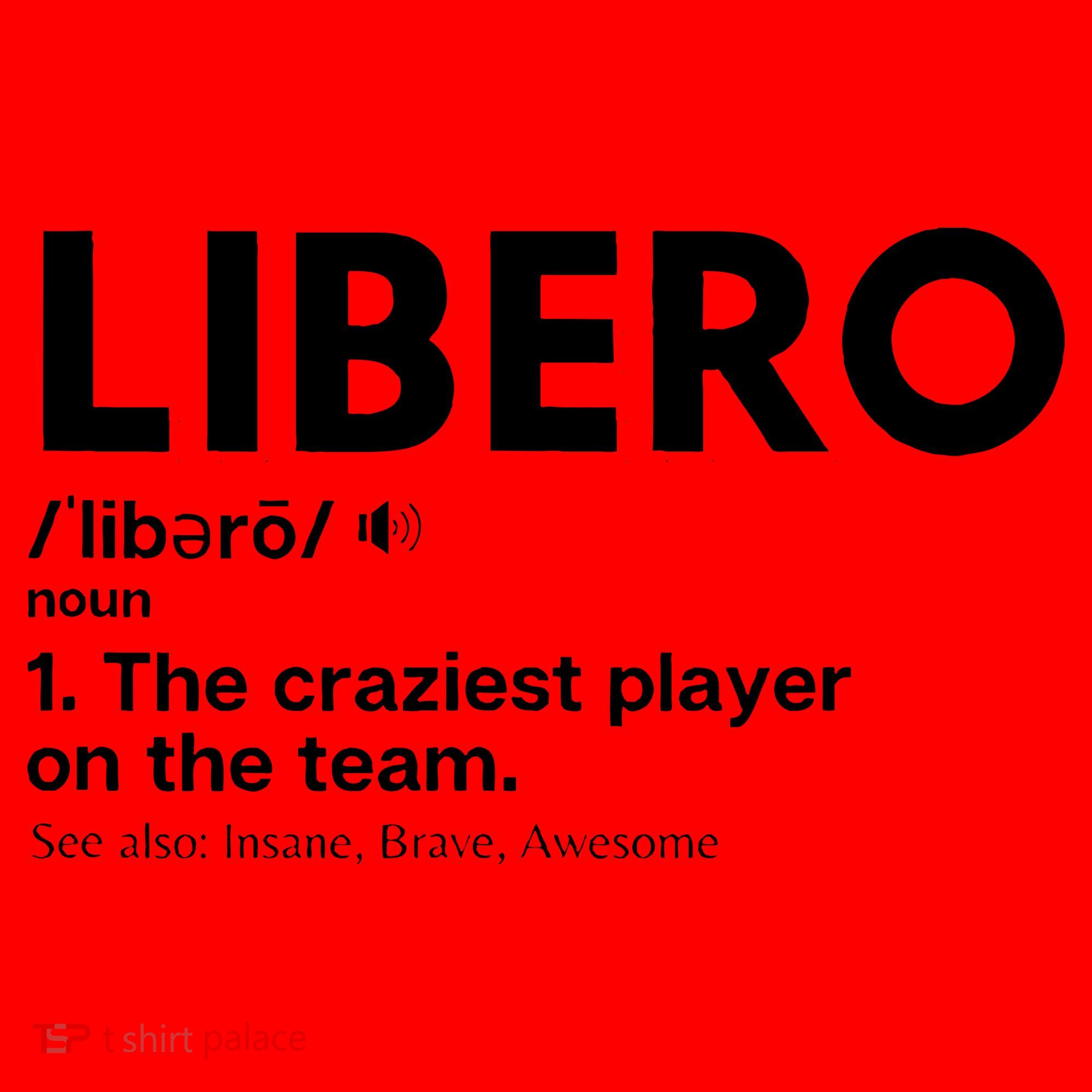 Volleyball Players Defensive Specialist Libero Santa Hat