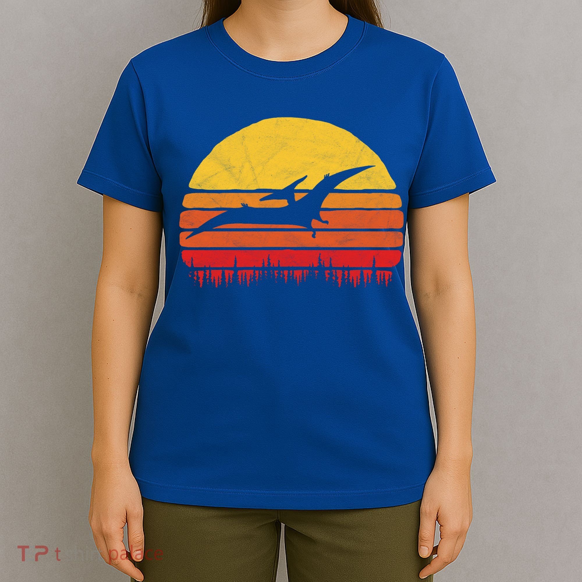 Vintage Pterodactyl Dinosaur Giftgift Retro Sun T-Shirt