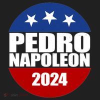 Vote Pedro Napoleon 2024 Election Beanie thumb 2