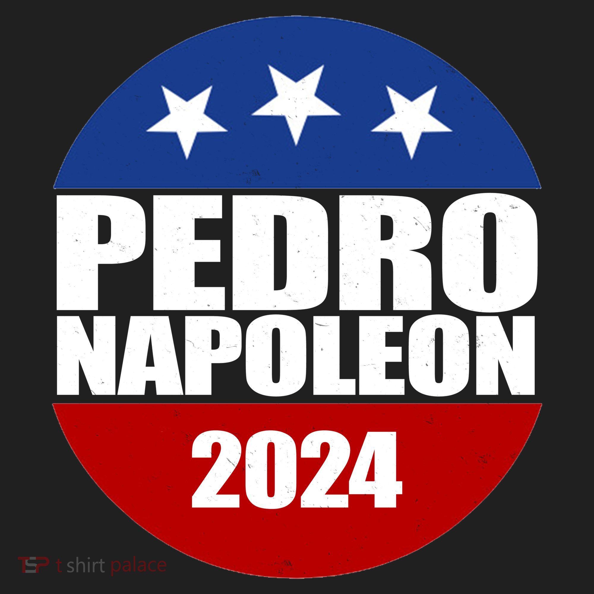 Vote Pedro Napoleon 2024 Election Beanie
