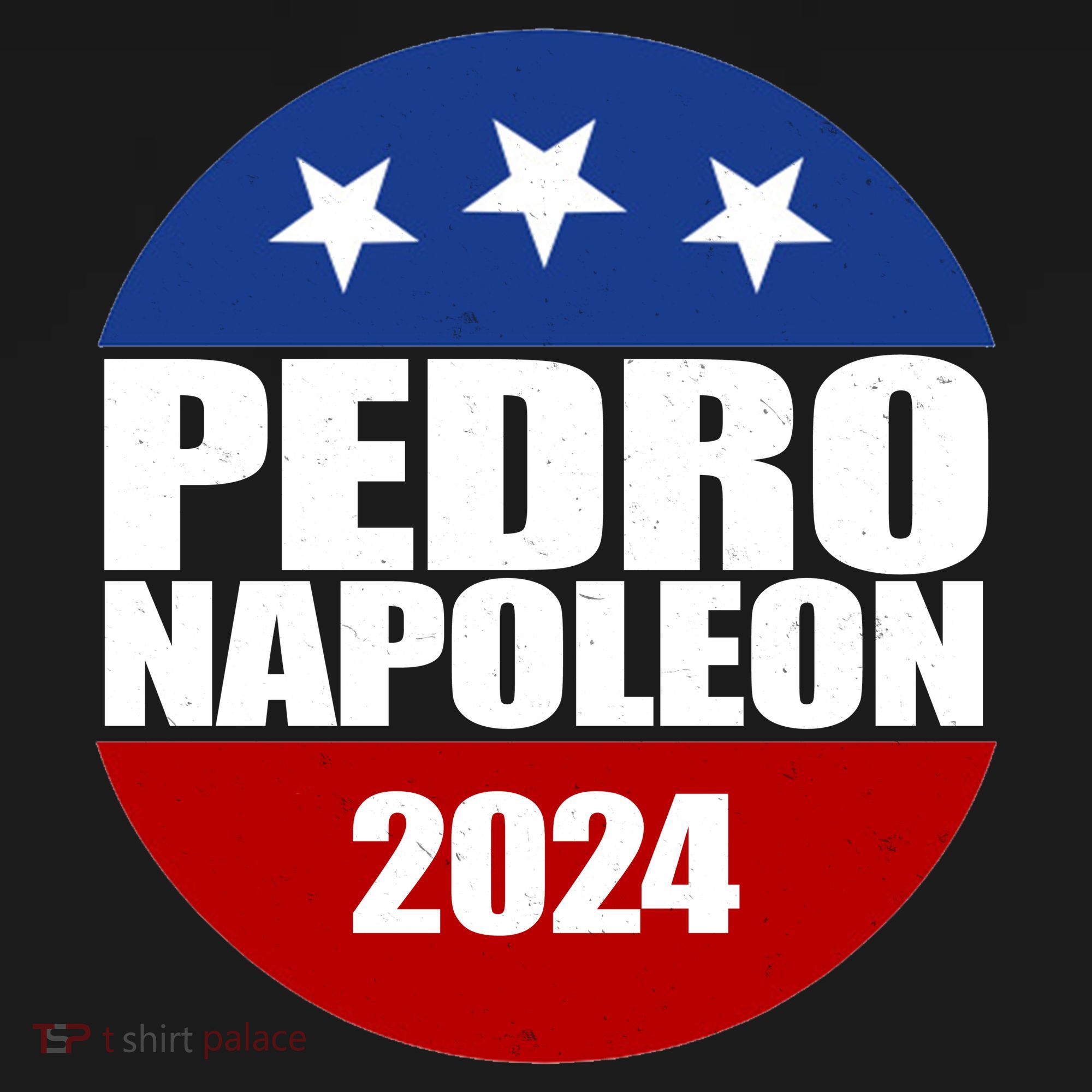 Vote Pedro Napoleon 2024 Election Ornament