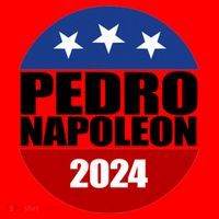 Vote Pedro Napoleon 2024 Election Santa Hat thumb 1