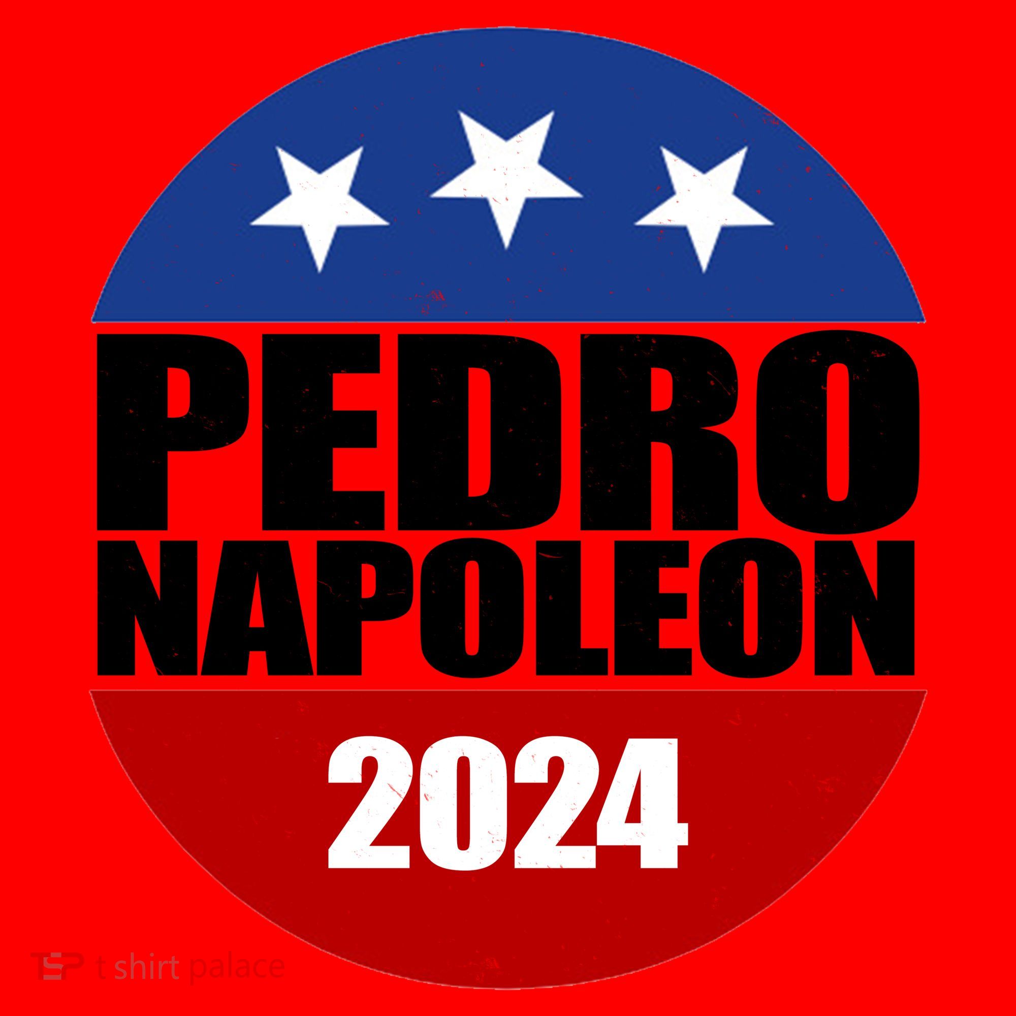 Vote Pedro Napoleon 2024 Election Santa Hat