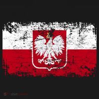 Vintage Polish Poland Polska Flag Distressed T-Shirt thumb 7