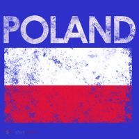 Vintage Poland Polish Flag Pride Gift T-Shirt thumb 7