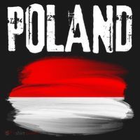 Vintage Poland Polska Polish Flag Souvenir Gift T-Shirt thumb 7