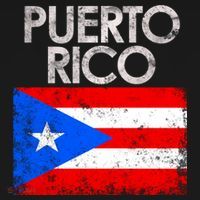Vintage Puerto Rico Puerto Rican Flag Pride Gift T-Shirt thumb 7