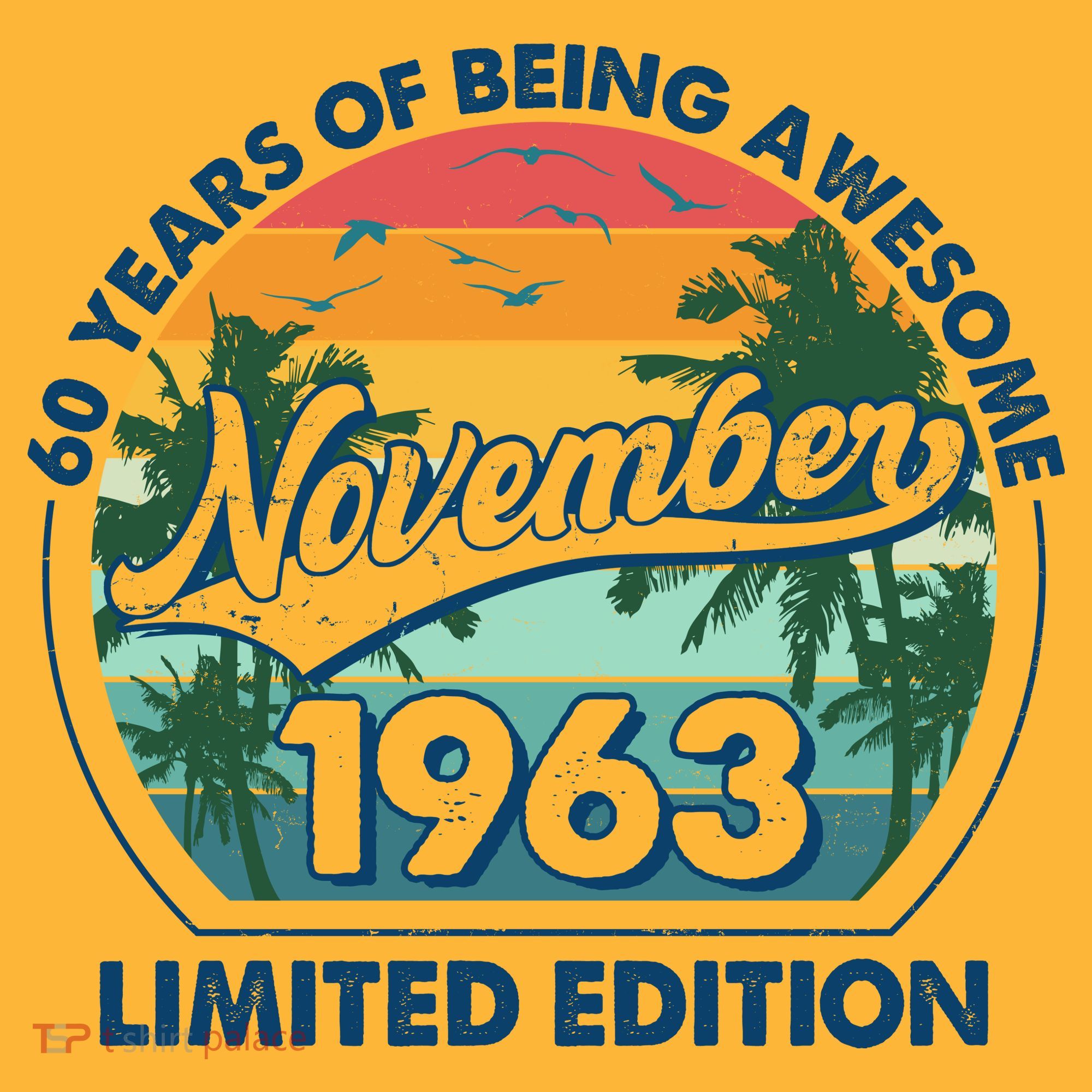 Vintage Retro 60 Years Of Being Awesome November 1963 Birthday T-Shirt