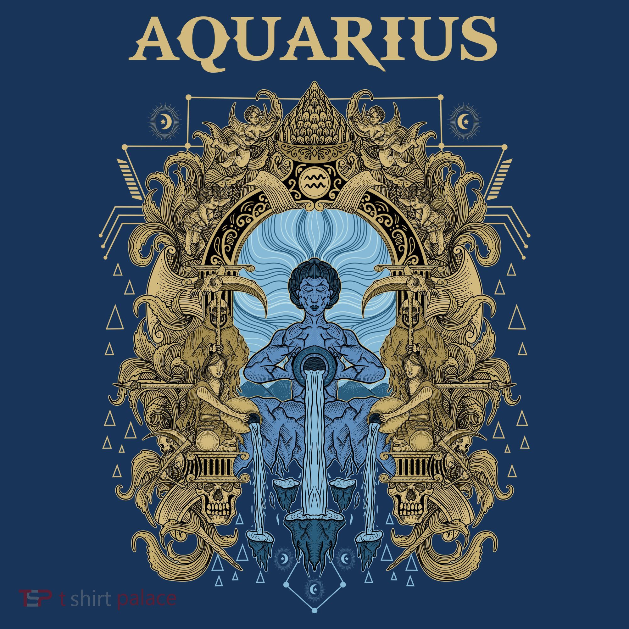 Vintage Retro Aquarius Zodiac T-Shirt