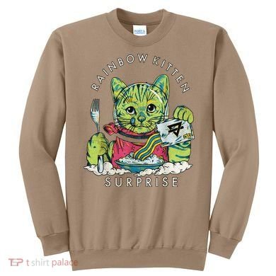 Vintage Rainbow Kitten Surprise Funny Cat Lover Sweatshirt