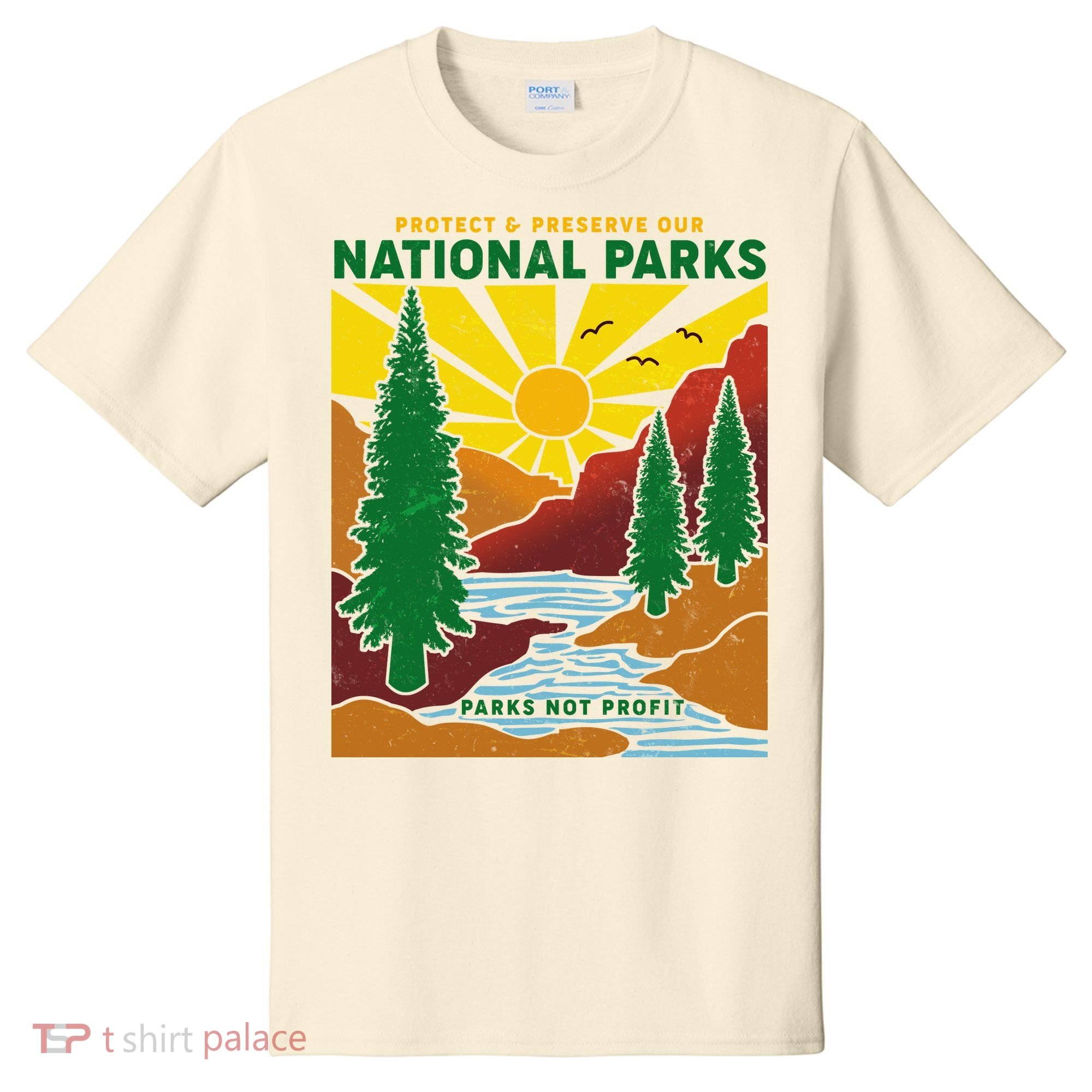 Vintage Retro Protect And Preserve Our National Parks T-Shirt