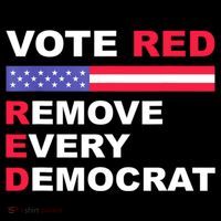 Vote Red Remove Every Democrat Conservatives Pro Republican Sweatshirt thumb 3