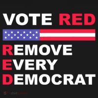 Vote Red Remove Every Democrat Conservatives Pro Republican Toddler T-Shirt thumb 4