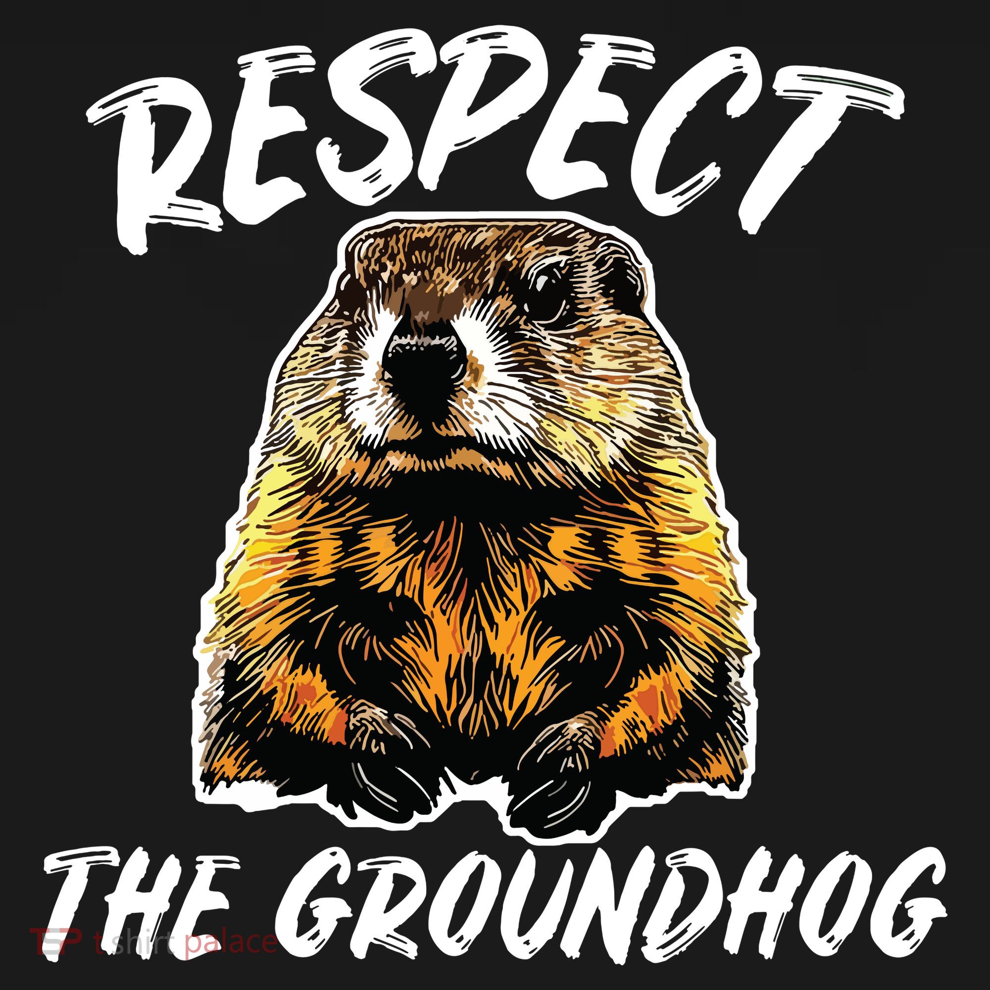 Vintage Retro Respect The Groundhog Holiday T-Shirt