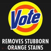 Vote Removes Stubborn Orange Stains Antitrump Women's Hoodie thumb 2