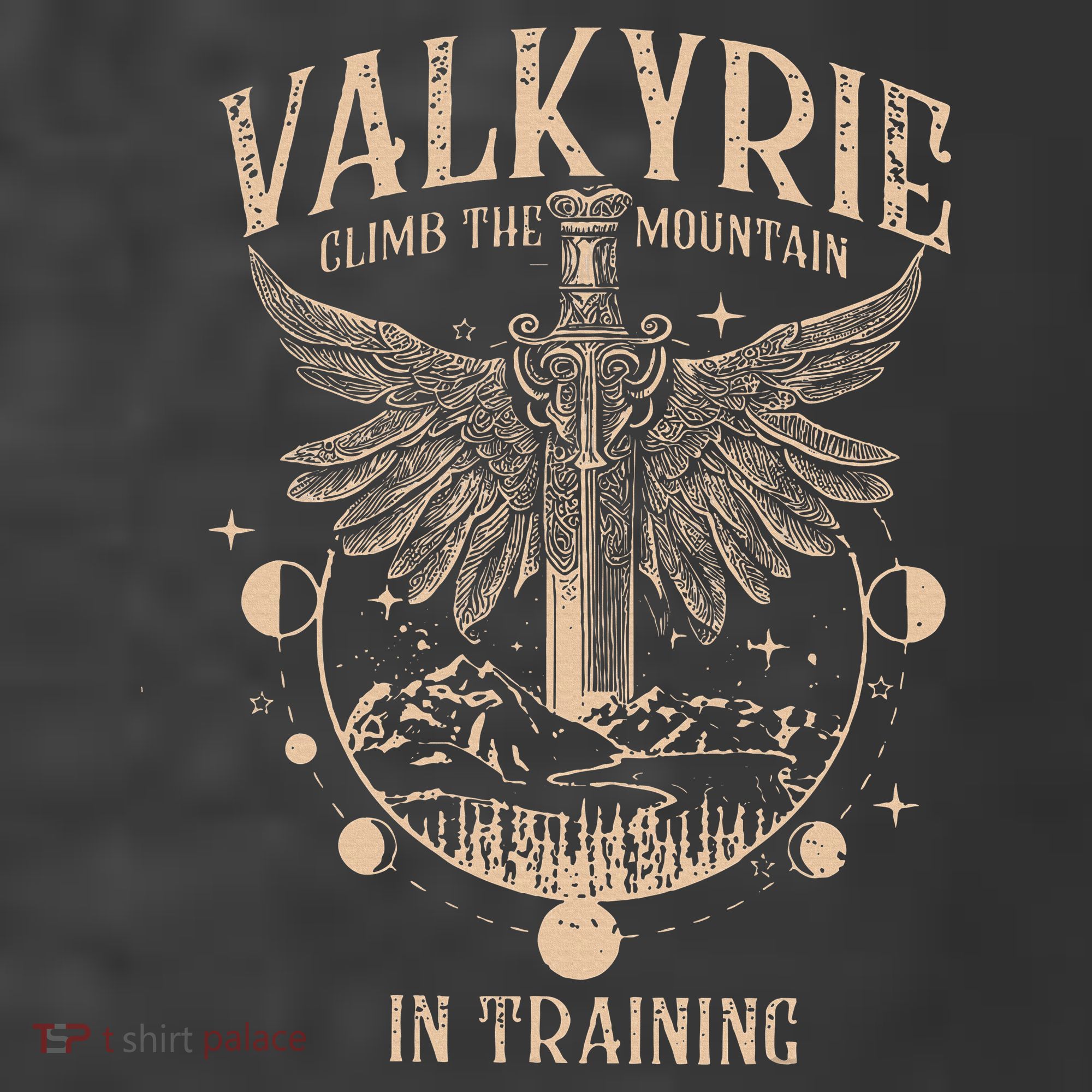 Vintage Retro Valkyrie Climb Them0untain In Training T-Shirt
