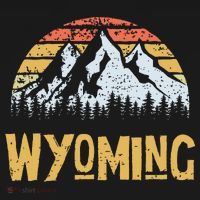 Vintage Retro Wy Wyoming Us Mountain State T-Shirt thumb 7