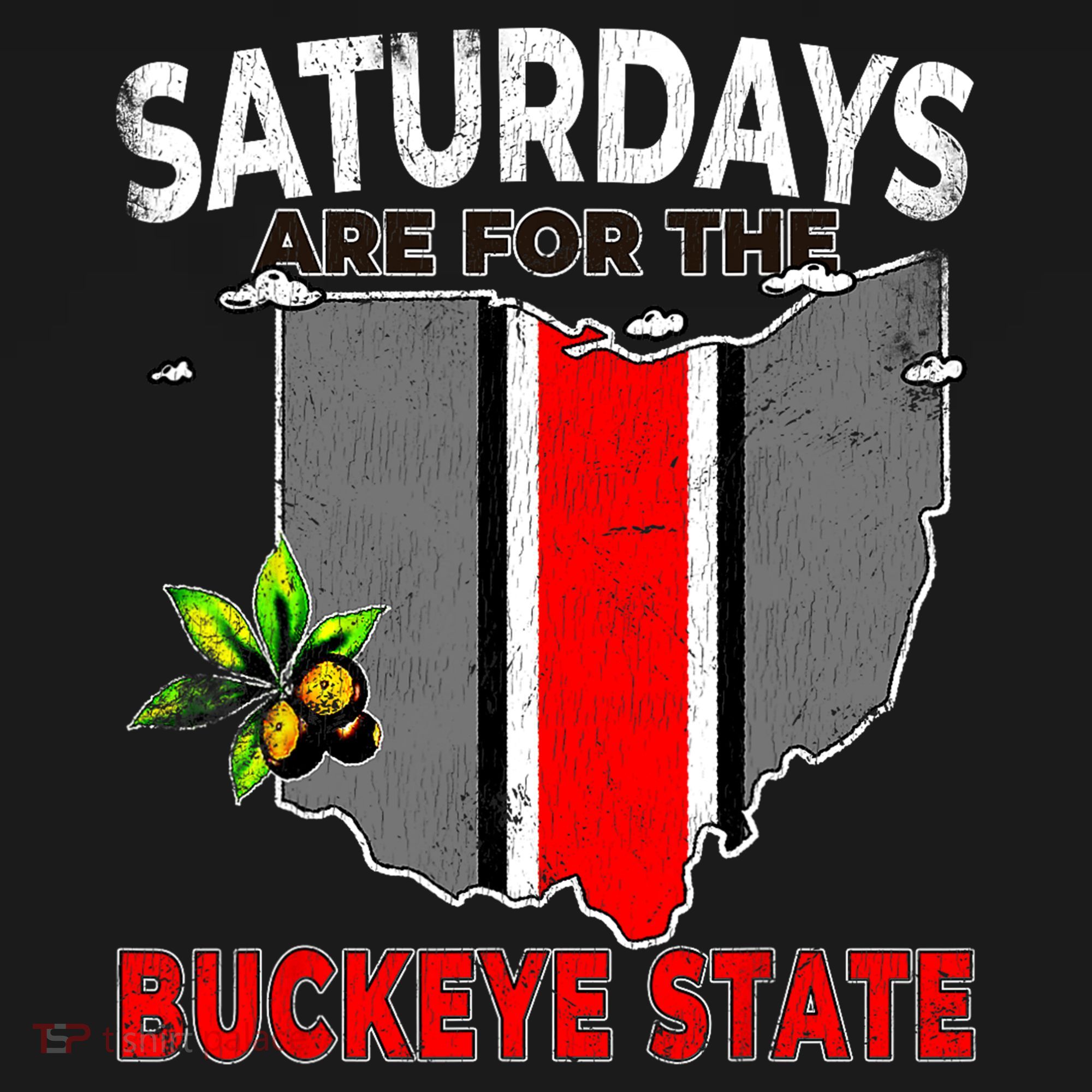Vintage Saturdays Are For The Buckeye State Grunge T-Shirt