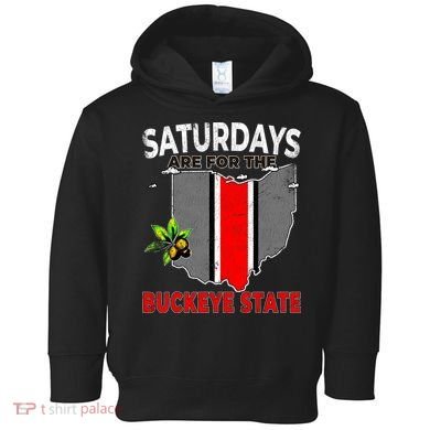 Vintage Saturdays Are For The Buckeye State Grunge Toddler Hoodie