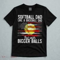 Vintage Softball Dad Like A Baseball Dad US Flag Fathers Day T-Shirt thumb 5