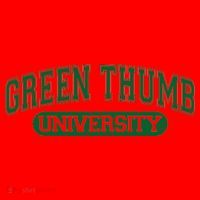 Varsity Style Green Thumb University Santa Hat thumb 1