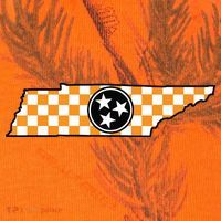 Volunteer State Orangewhite Checkerboard Tristar Tennessee Kati Licensed 12" Camo Cuffed Beanie thumb 2