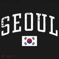 Vintage Seoul South Korea Country Flag Souvenir Vacation T-Shirt thumb 7